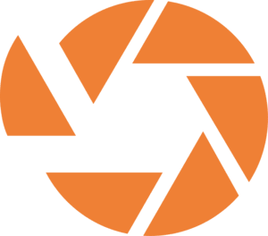 Search Solution Group logo
