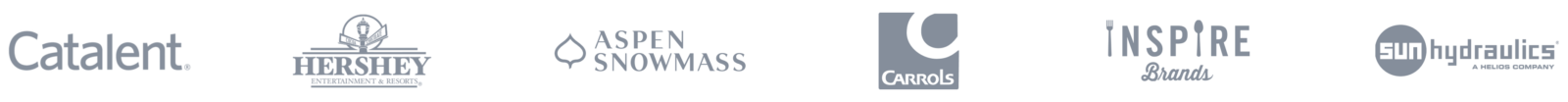 search solution group human resources recruitment clients